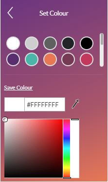 color palette