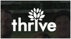 Best SEO Companies and their Reviews 9 Thrive Internet Marketing