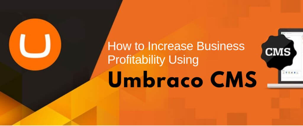 How to Increase Business Profitability Using Umbraco CMS