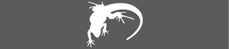 List of Top 20 Digital Marketing Agencies in USA 3 Lounge Lizard