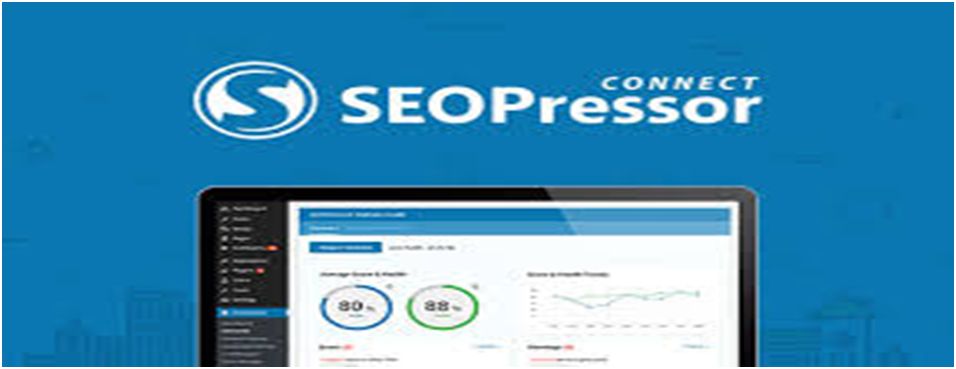 SEO Processor