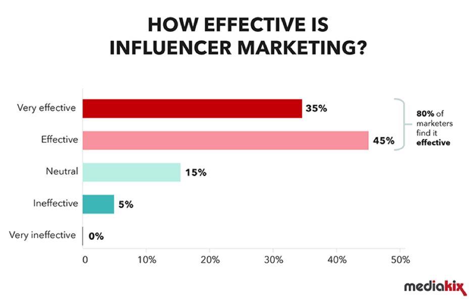 Discuss the results and arrange future collaborations