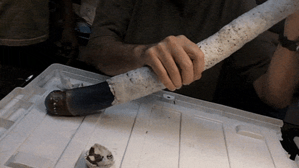 Create Scientific GIF new pic